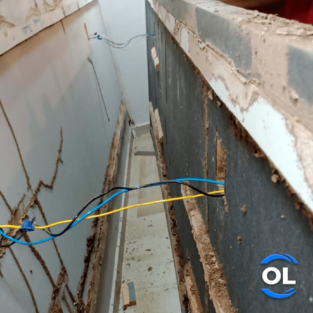 Cupim no painel da Tv