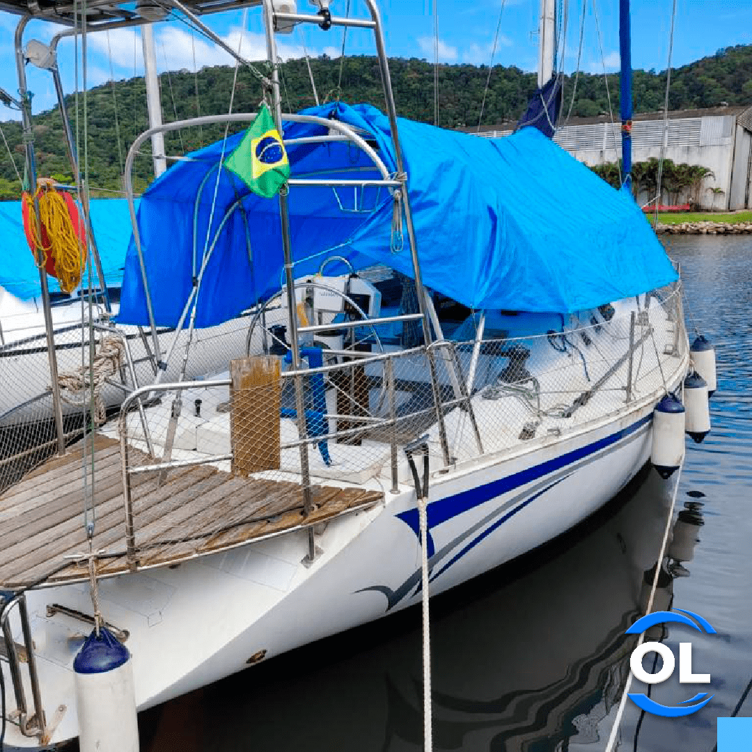 Cupim e insetos na Embarcação